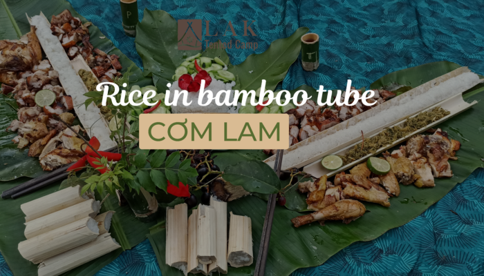 Bữa ăn với cơm lam, gà nướng giữa rừng